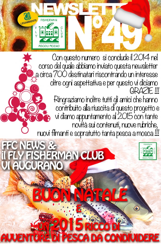 newsletter num 49