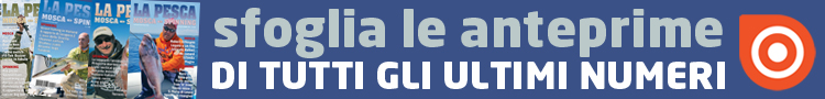 sfoglia-le-anteprime-banner