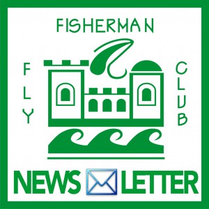logo ffcnews